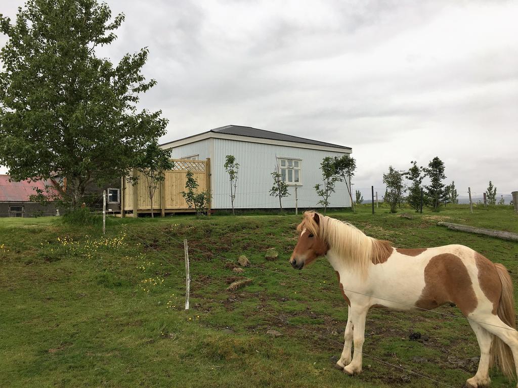 Gamla Husith - The Old House Villa Selfoss Eksteriør bilde